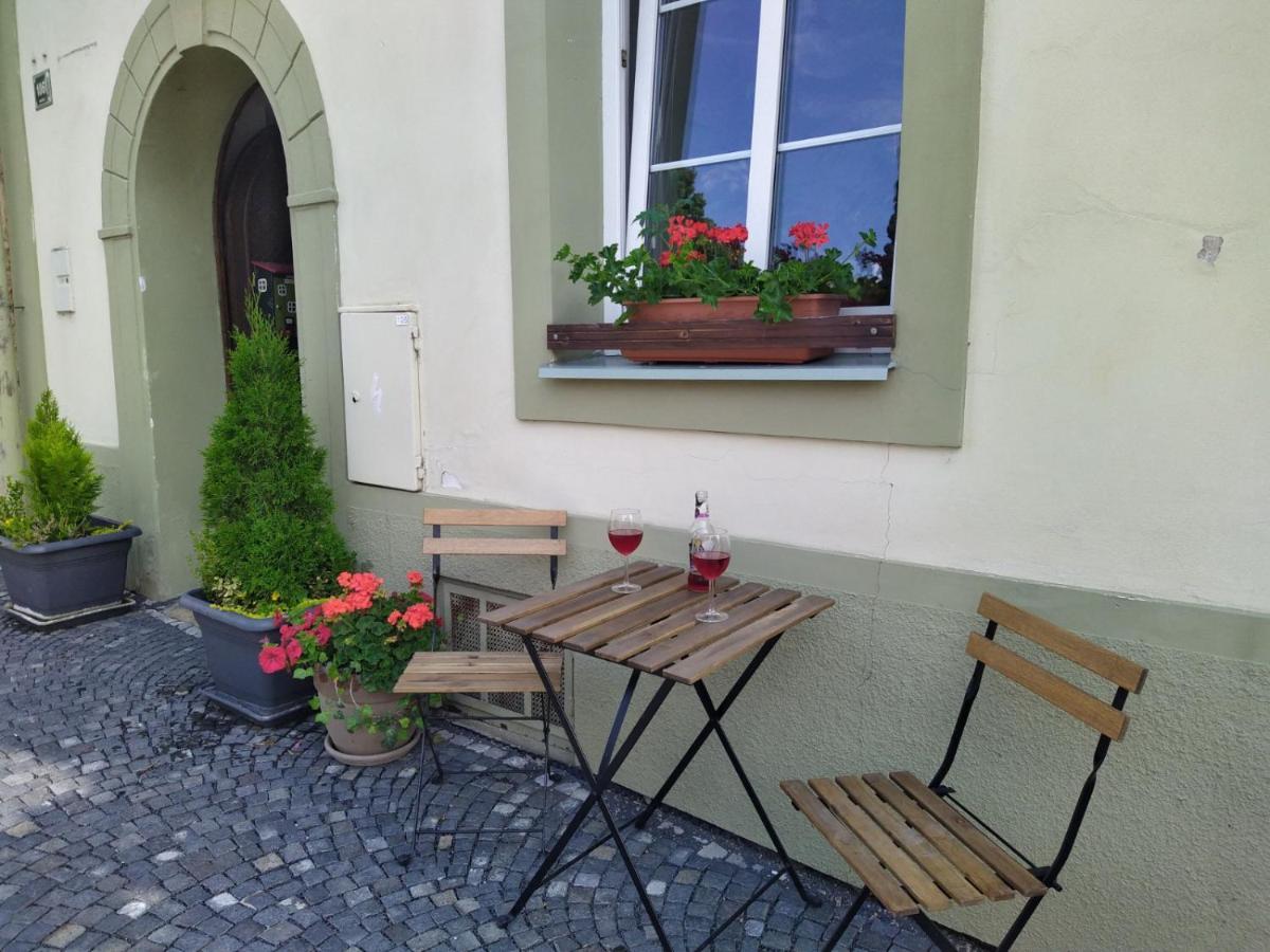 Apartmany Zatec 外观 照片