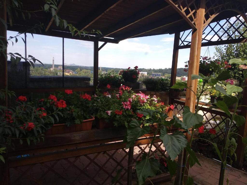 Apartmany Zatec 外观 照片