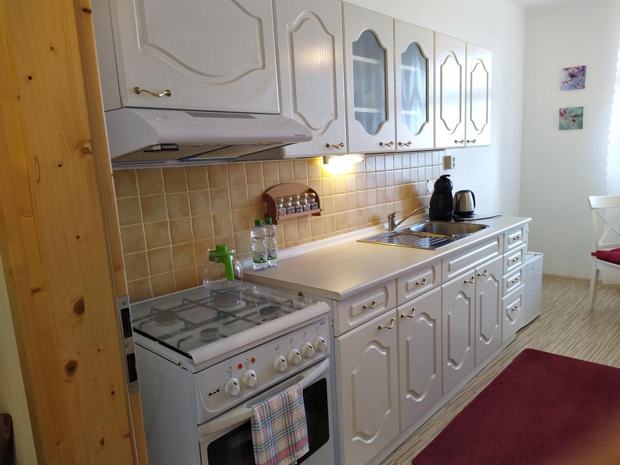 Apartmany Zatec 外观 照片