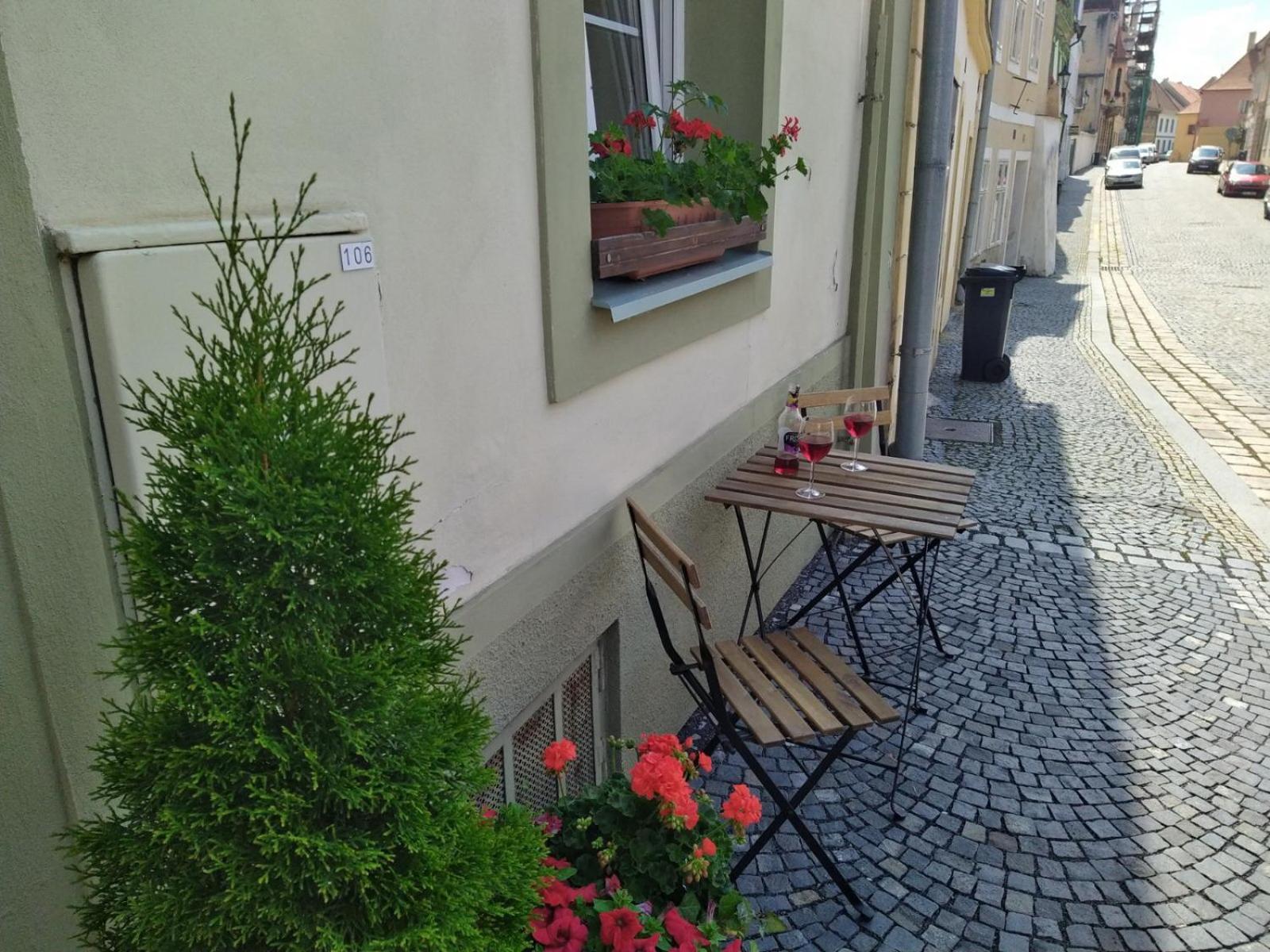 Apartmany Zatec 外观 照片