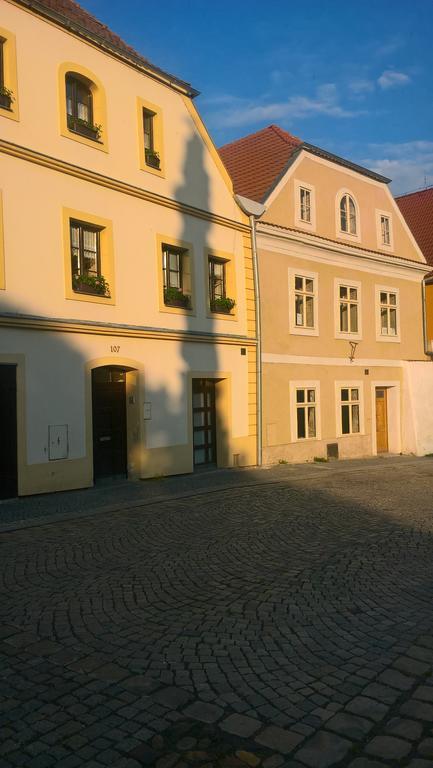 Apartmany Zatec 外观 照片